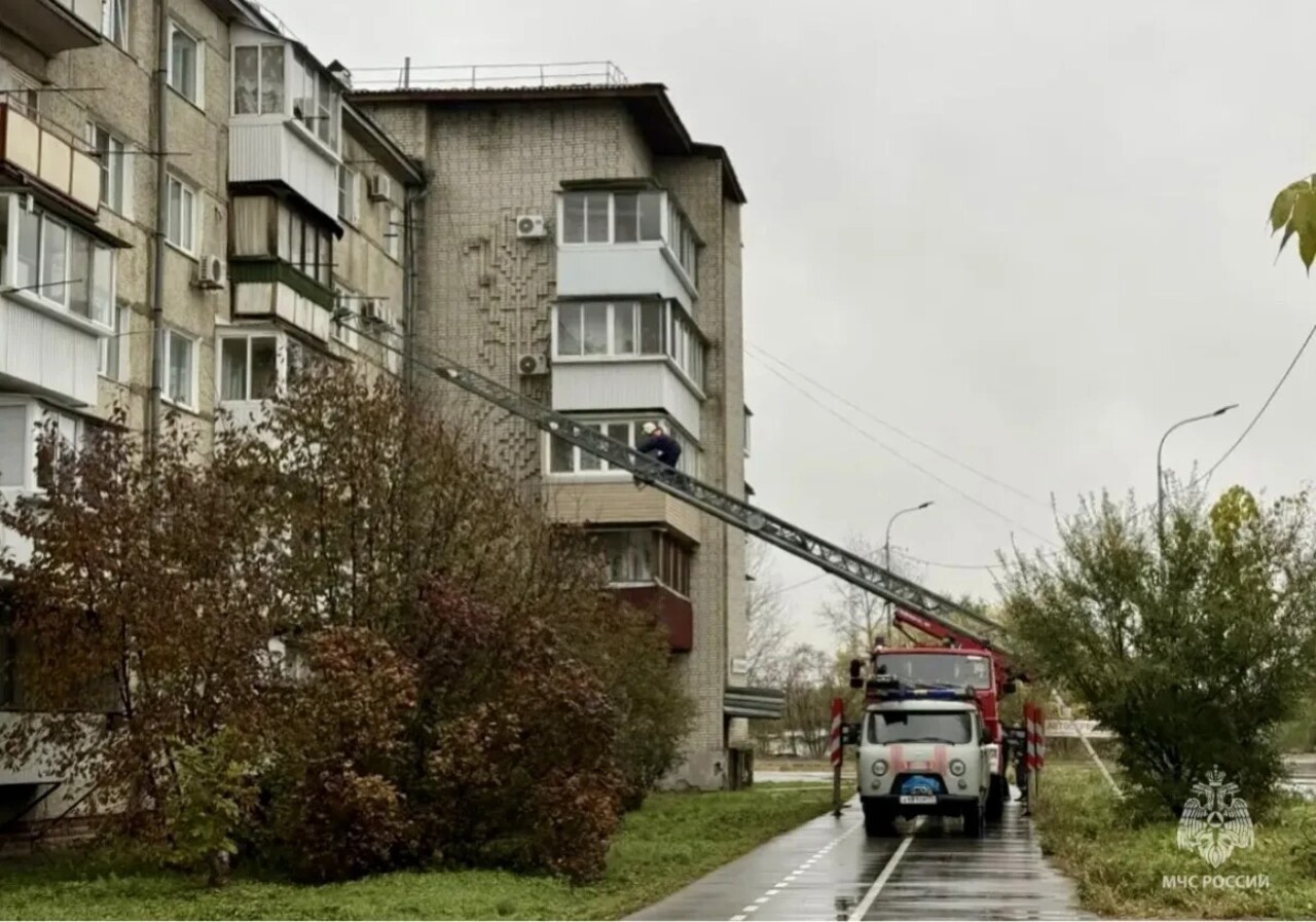 _измененный.jpg